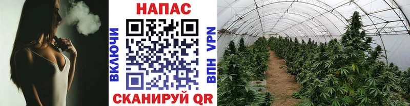 Магазины продажи наркотиков Евпатория Бошки Шишки  блэк спрут как войти  COCAIN  ГАШИШ  МЕФ 