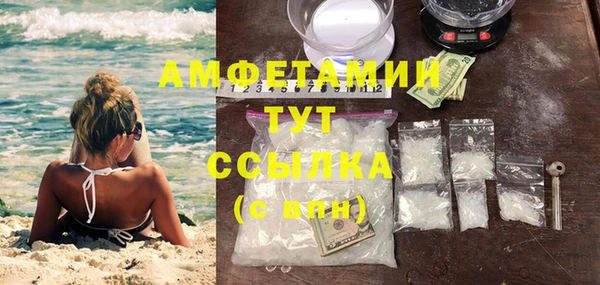 мдпв Вяземский