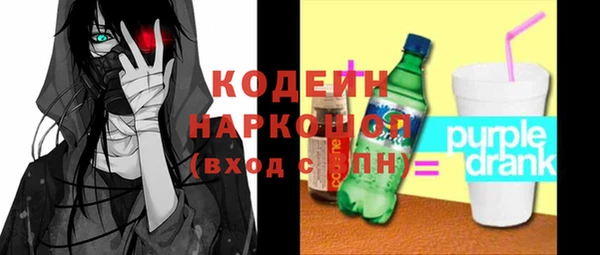 мдпв Вяземский