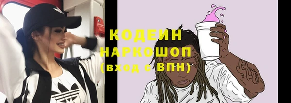мдпв Вяземский