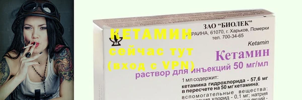 стаф Володарск