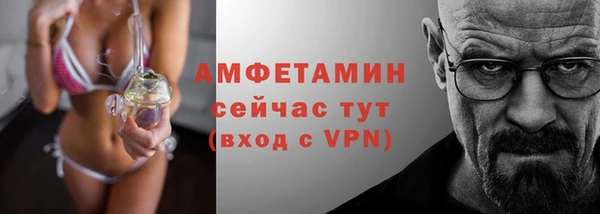 мдпв Вяземский