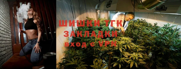 мдпв Вяземский