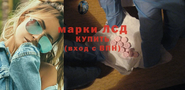 мдпв Вяземский