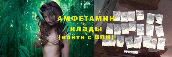 мдпв Вяземский