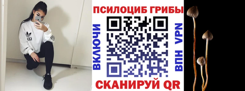 Псилоцибиновые грибы мухоморы  Евпатория 